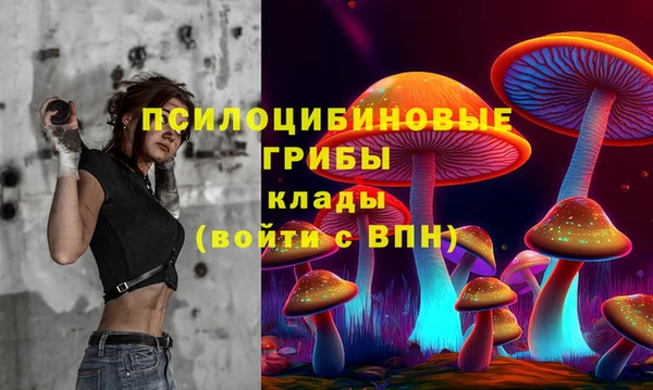 PSILOCYBIN Алексеевка